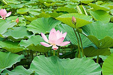 任天堂小贴士：请在5℃到35℃的环境下使用Switch